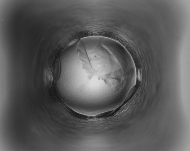X0000090491155200707201532