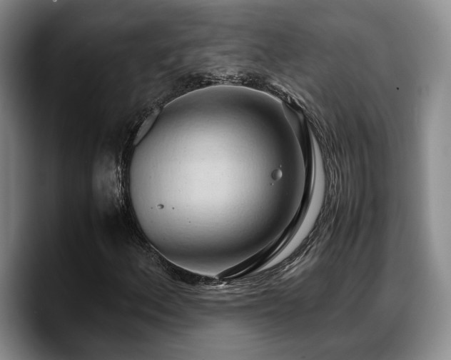 X0000090491156200707201532