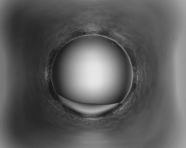 X0000090491157200707201532