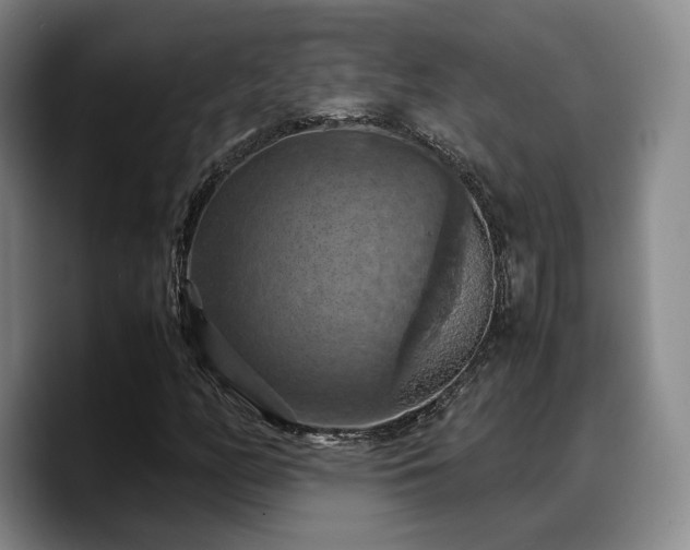 X0000090491158200707201532