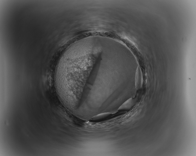 X0000090491159200707201532