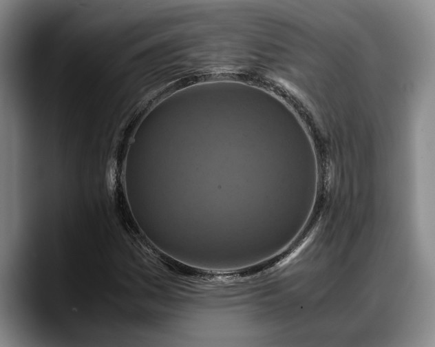 X0000090491161200707201532