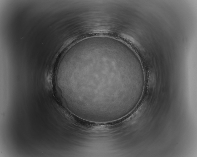 X0000090491162200707201532