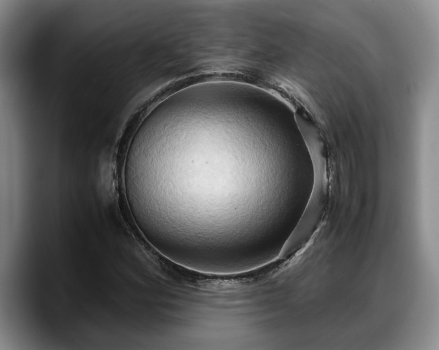 X0000090491164200707201532