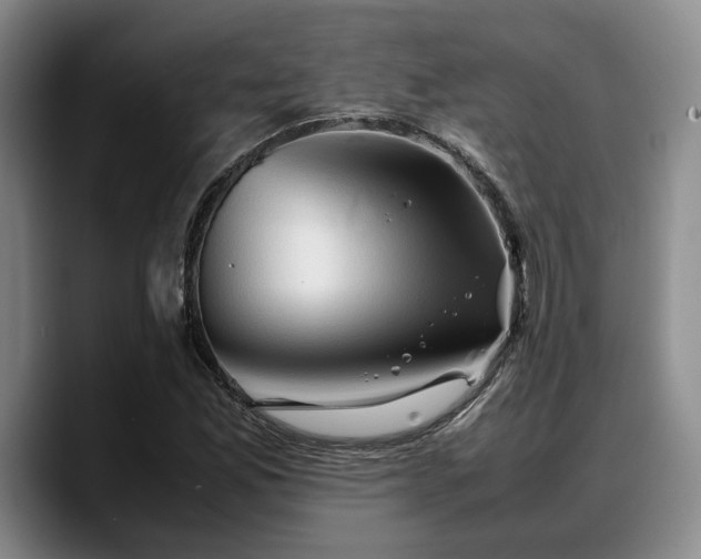 X0000090491165200707201532