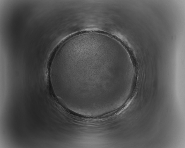 X0000090491167200707201532