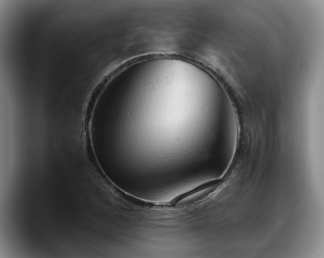 X0000090491168200707201532