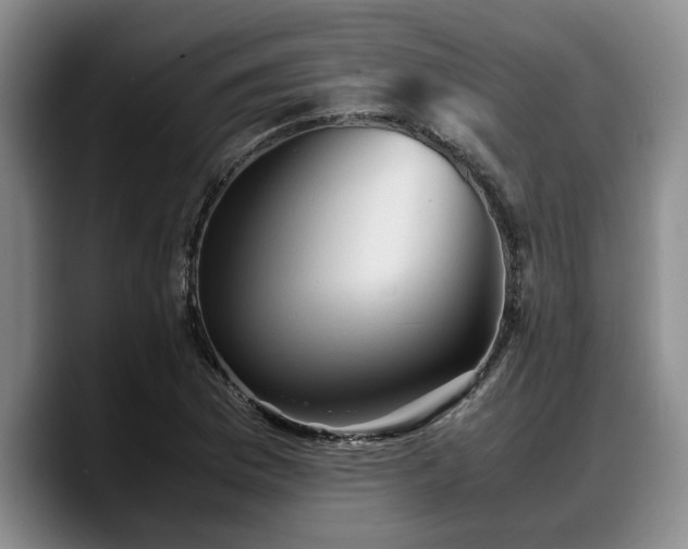 X0000090491169200707201532