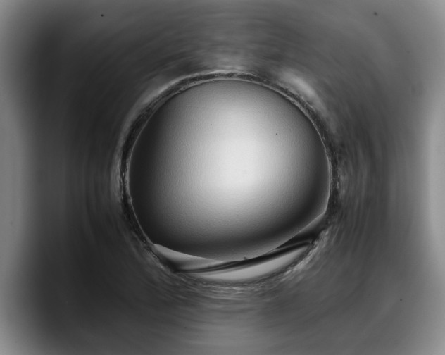 X0000090491172200707201532