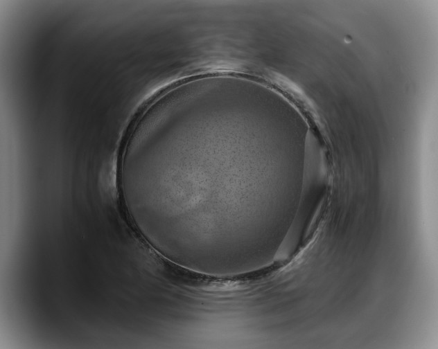 X0000090491174200707201532