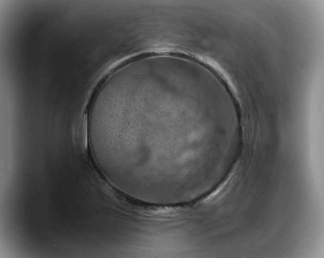 X0000090491175200707201532