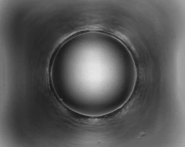 X0000090491176200707201532