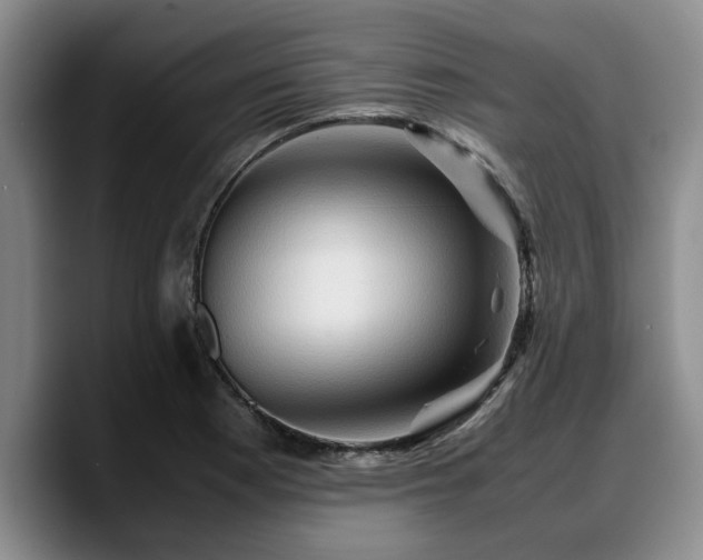 X0000090491177200707201532