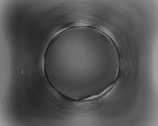 X0000090491179200707201532