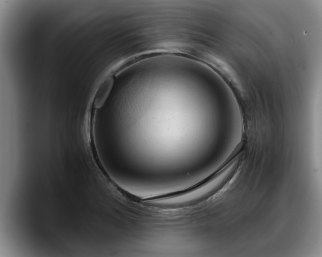 X0000090491180200707201532