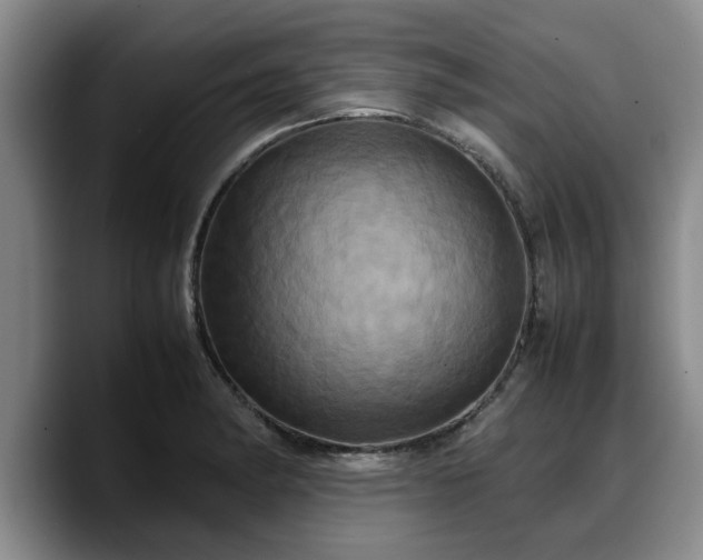 X0000090491182200707201532