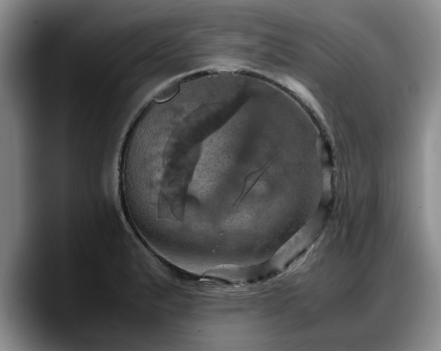 X0000090491183200707201532
