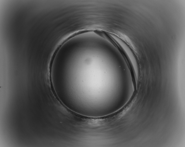 X0000090491184200707201532