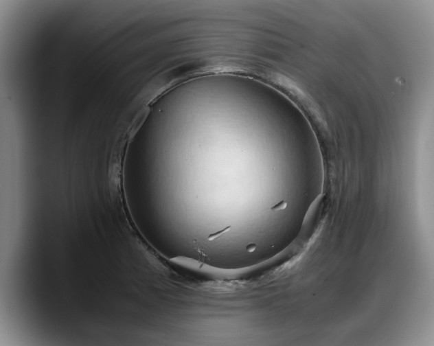 X0000090491185200707201532