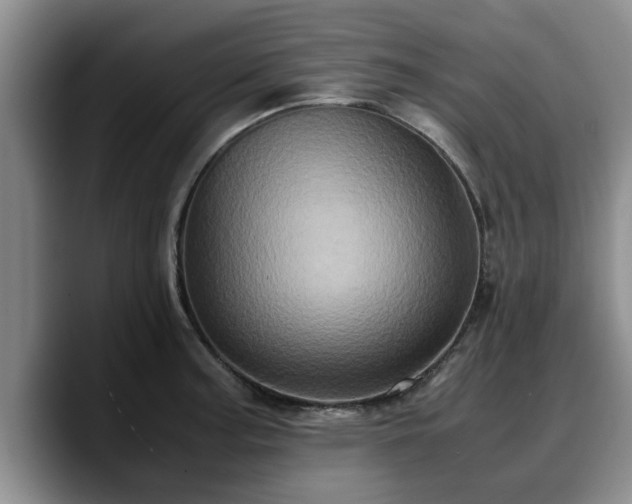 X0000090491187200707201532