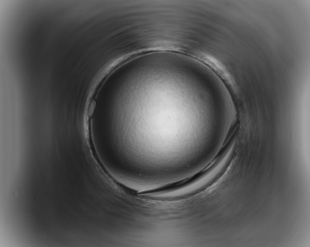 X0000090491188200707201532