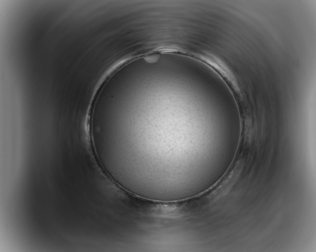 X0000090491190200707201532