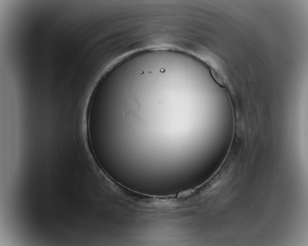 X0000090491191200707201532