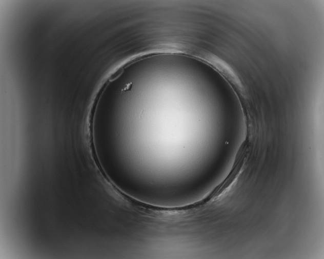 X0000090491192200707201532