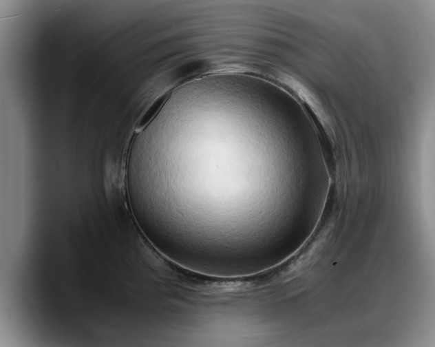 X0000090491193200707201532