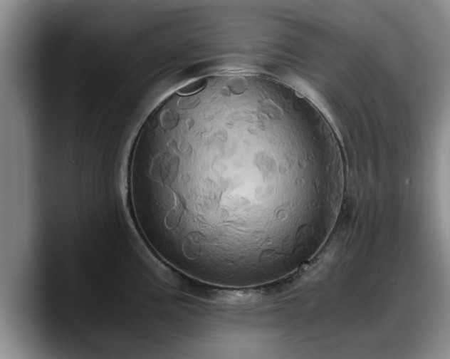 X0000090491195200707201532