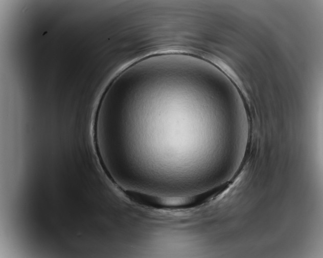 X0000090491197200707201532