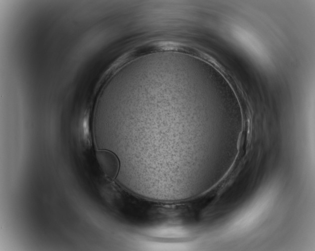 X0000090491198200707201532