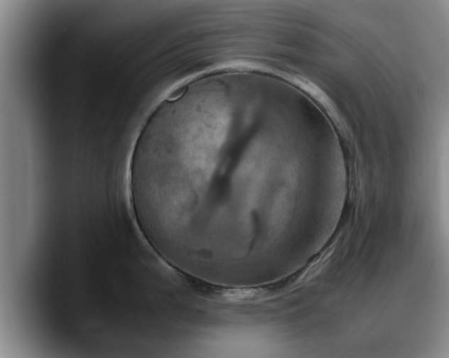 X0000090491199200707201531