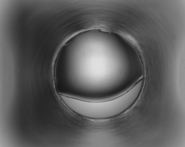 X0000090491200200707201531