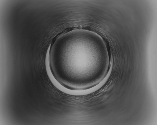 X0000090491202200707201531