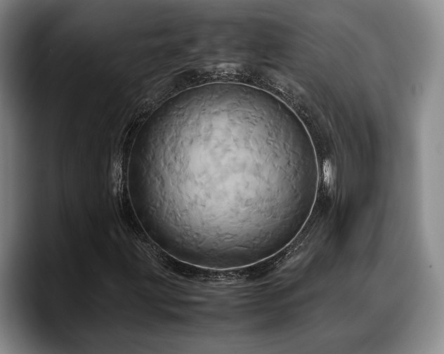 X0000090491203200707201531