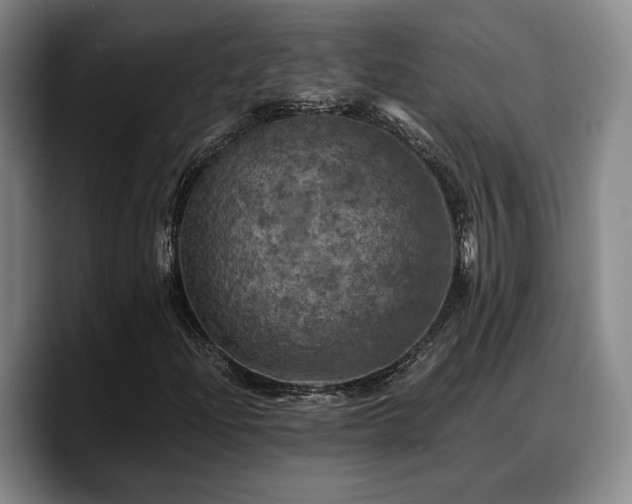 X0000090491204200707201531