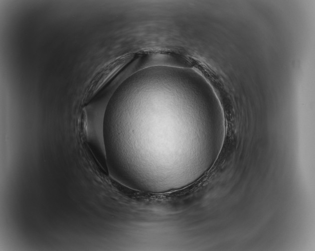 X0000090491206200707201531