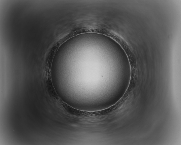 X0000090491207200707201531