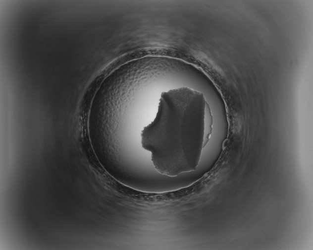 X0000090491208200707201531