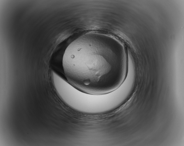 X0000090491210200707201531