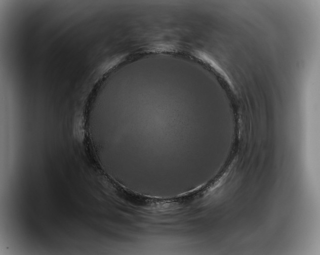 X0000090491213200707201531
