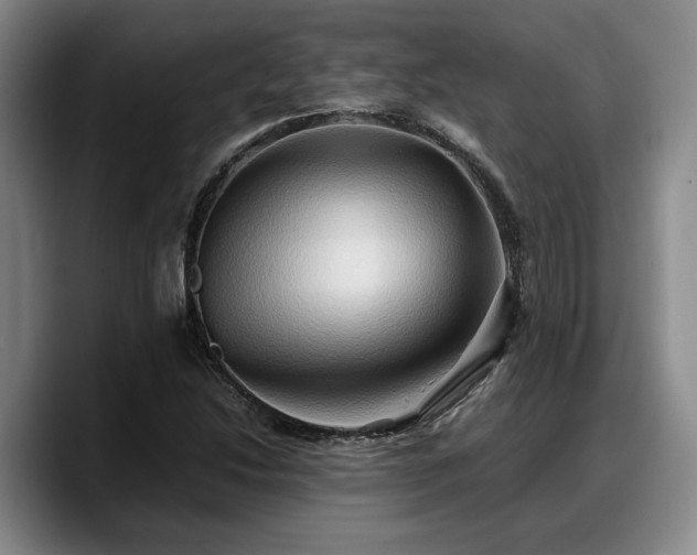 X0000090491214200707201531