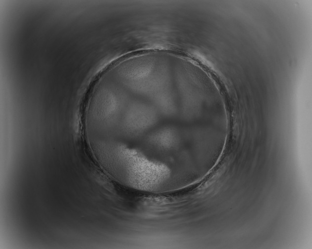 X0000090491215200707201531