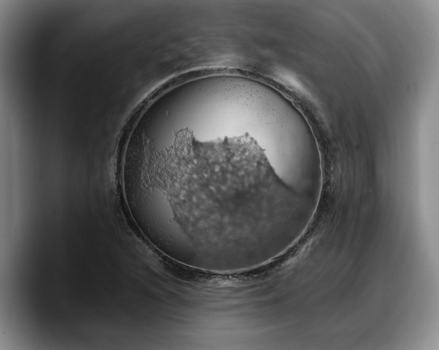 X0000090491216200707201531