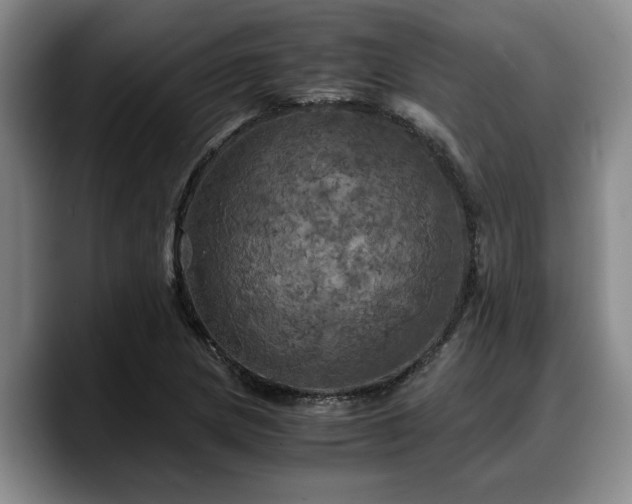 X0000090491217200707201531