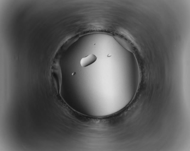 X0000090491218200707201531