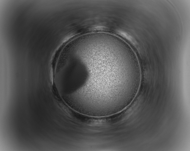 X0000090491219200707201531