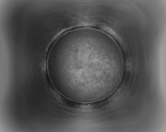 X0000090491220200707201531