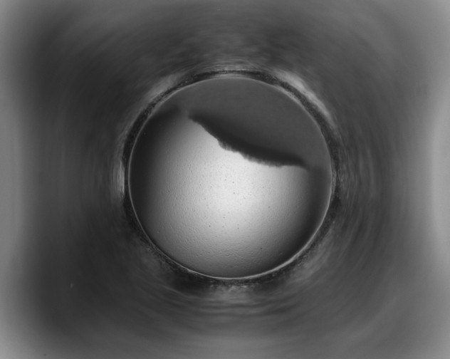 X0000090491221200707201531